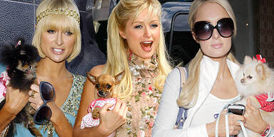 Paris Hilton und Hunde