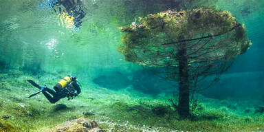 Mystischer Tauchgang in Unterwasser-Park