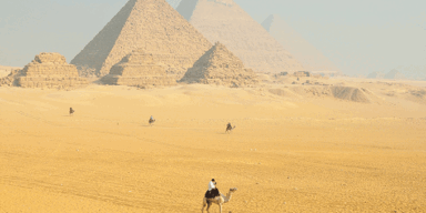 Kamelreiten soll in Ägypten nun endgültig verboten werden