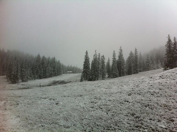 Winter-Alarm: Der erste Schnee ist da
