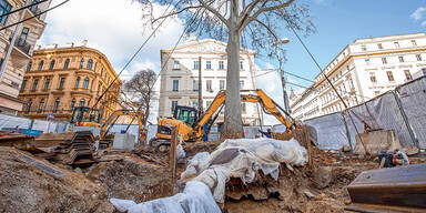 Operation Platane: Größte Baumrettung aller Zeiten in Wien