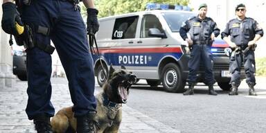 Niederösterreich: Polizei warnt vor Kindesentführer