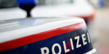 Polizeigewalt in Wien: Eisenstadt ermittelt