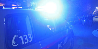 Polizei Polizeiauto Streifenwagen Blaulicht