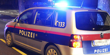 Security im Wiener Prater verprügelt