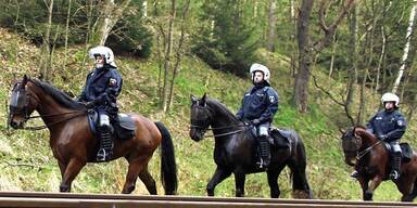 Berittene Polizei: Streit um Pferdemist
