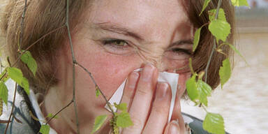 Allergiker zu Saison-Beginn empfindlicher