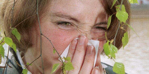 Blühende Sträucher lassen Allergiker leiden