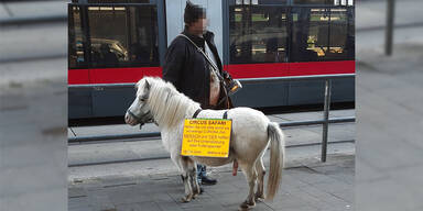 zirkus pony gewalt