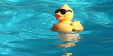 pool_ente_sxc