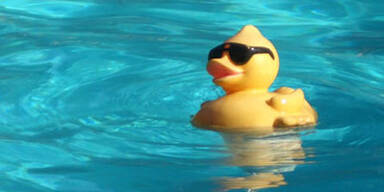 pool_ente_sxc