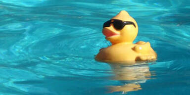 pool_ente_sxc