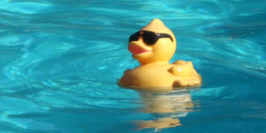 pool_ente_sxc_pt