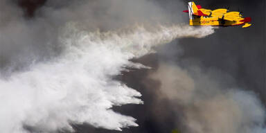 Waldbrand in Portugal: Großeinsatz im Naturpark von Sintra