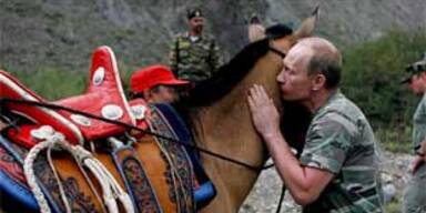 Putin wird zum Pferdeflüsterer
