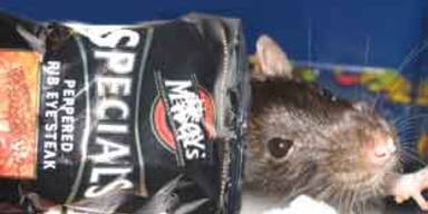 rattechips