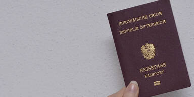 Bosnier werden am häufigsten eingebürgert