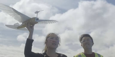 Roboter mit echten Taubenfedern fliegt