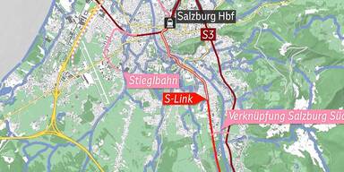 S-Link: Am Sonntag wird abgestimmt