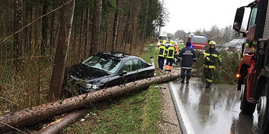 Baum stürzt auf fahrende Autos 