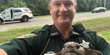 US-Polizist verhaftet Schildkröte wegen Verkehrsbehinderung