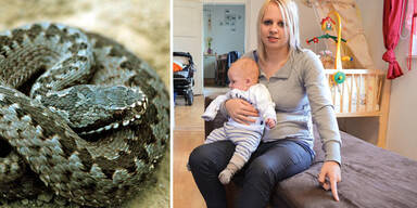 Mutter rettet Babys vor Schlange