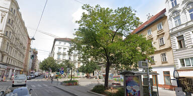 Schubertlinde am Augustinplatz