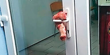 Schweine-Kopf hing an Tür von Moschee