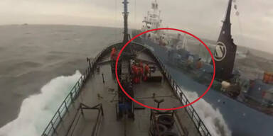 Aktivisten rammen Walfang-Schiff