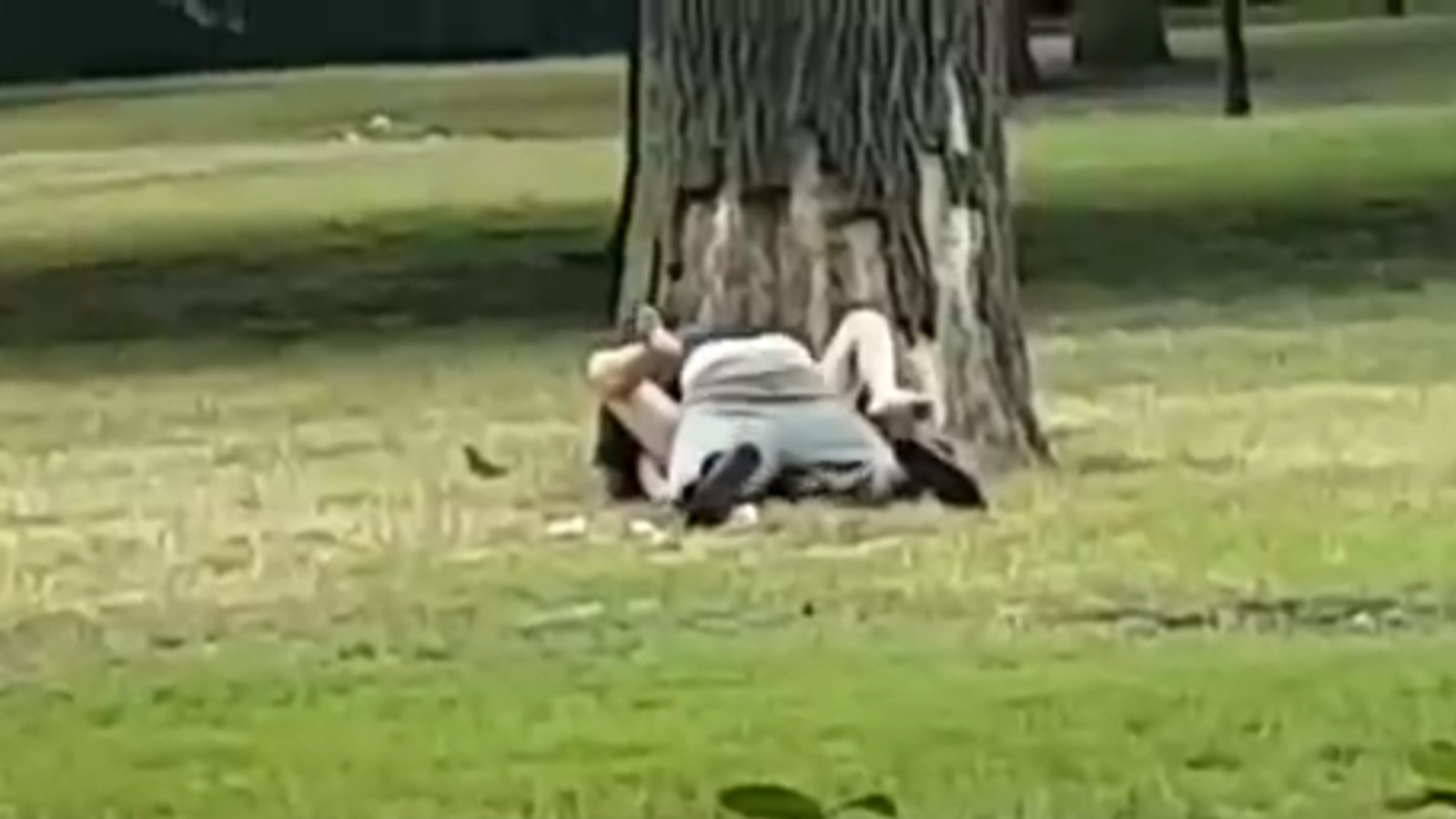 Sex im Park