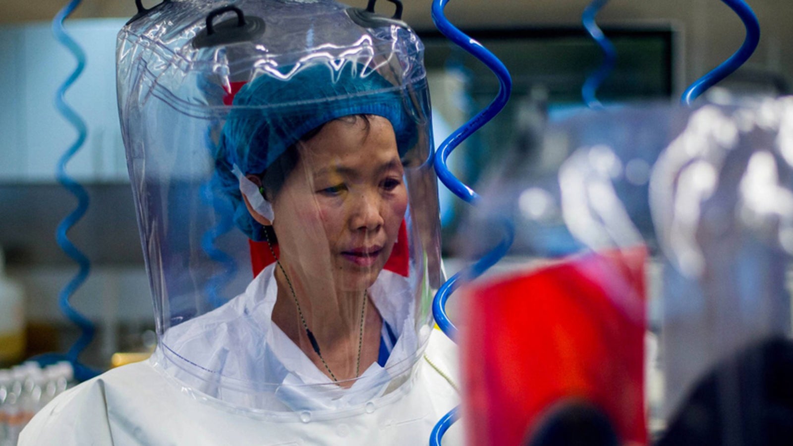 'Ausbruch von Corona erst die Spitze des Eisbergs' oe24.at