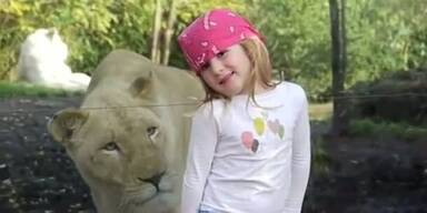 Löwe erschreckt kleines Mädchen