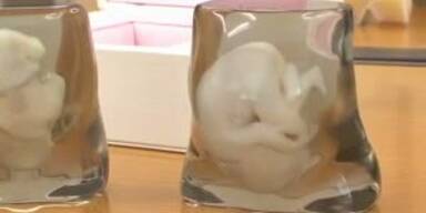 Drucke ein 3D-Modell deines ungeborenen Babys