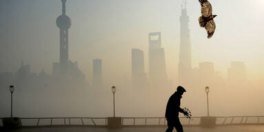 Millionen Tote wegen Luftverschmutzung