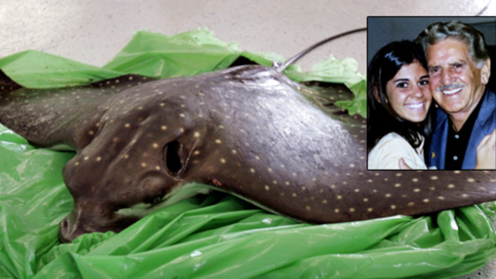 Rochen hüpft in Boot und sticht Mann ins Herz - oe24.at