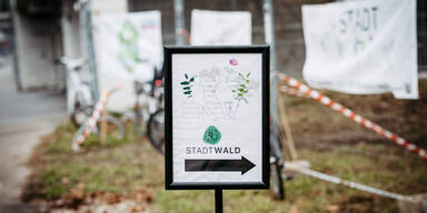 „StadtWald“ bringt grüne und innovative Zukunft in die Leopoldstadt!