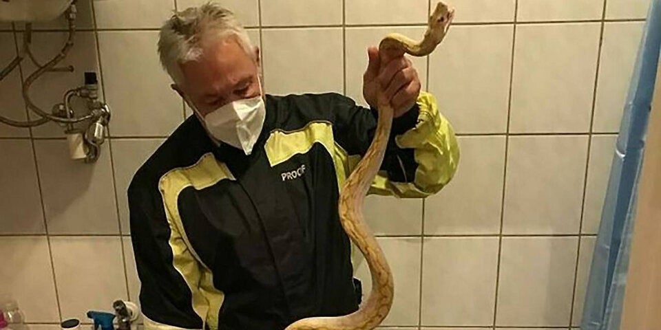 Grazer wird auf Toilette von Schlange gebissen
