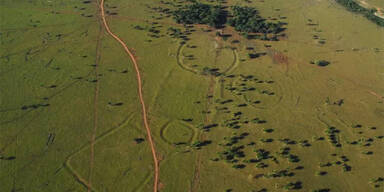 Zweites Stonehenge in Brasilien entdeckt