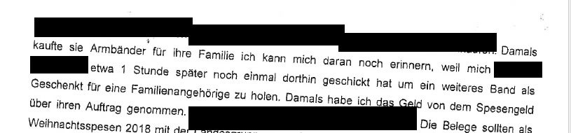 Strache: 'Angst meiner Gegner unermesslich groß'