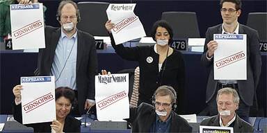 Straßburg Europaparlament - Proteste gegen Orban