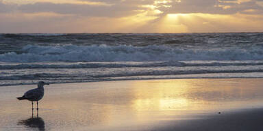 Traumhafter Herbstzauber auf Sylt