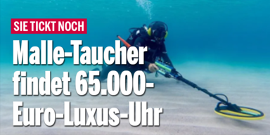 taucher