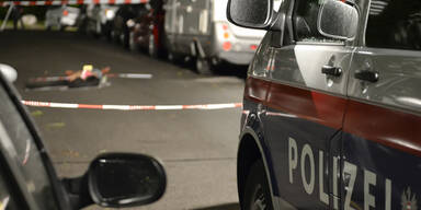 Wien: Taxler erschießt Räuber