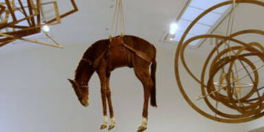 Wieso hängt hier ein Pferd vom Plafond?