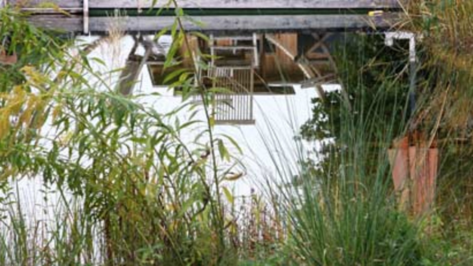 Zwillinge ertrinken im Teich der Oma oe24.at