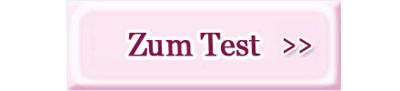 Zum Test Button Pychotest