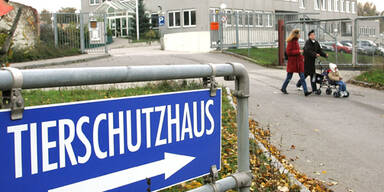 tierschutzhaus_