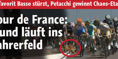 Tour de France: Hund holt Basso vom Rad