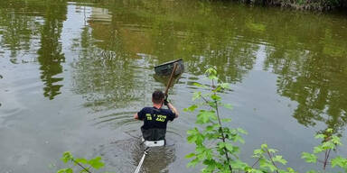 Feuerwehr fischt Tresor aus Teich und macht grausigen Fund