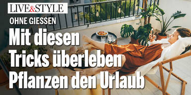 Ohne Gießen: Mit diesen Tricks überleben Pflanzen den Urlaub